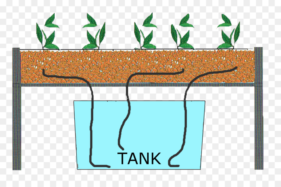 Système Hydroponique，Plantes PNG