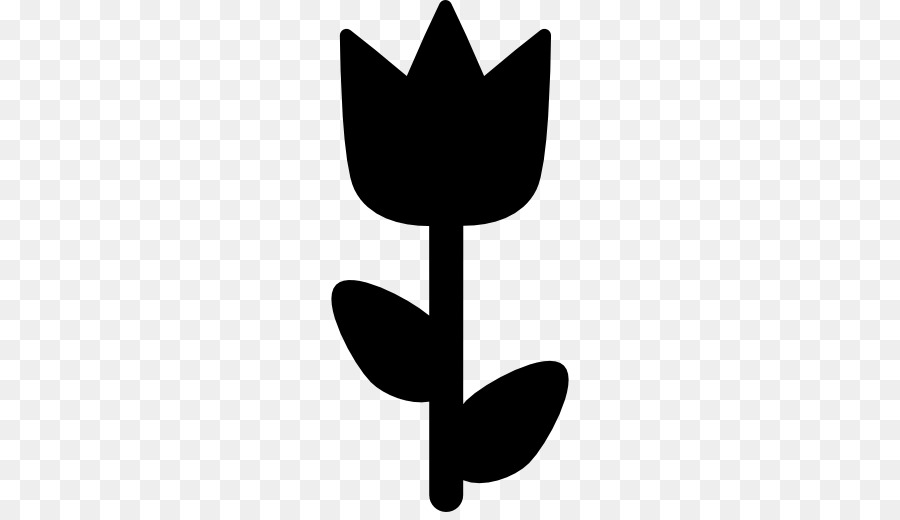 Fleur Noire，Usine PNG