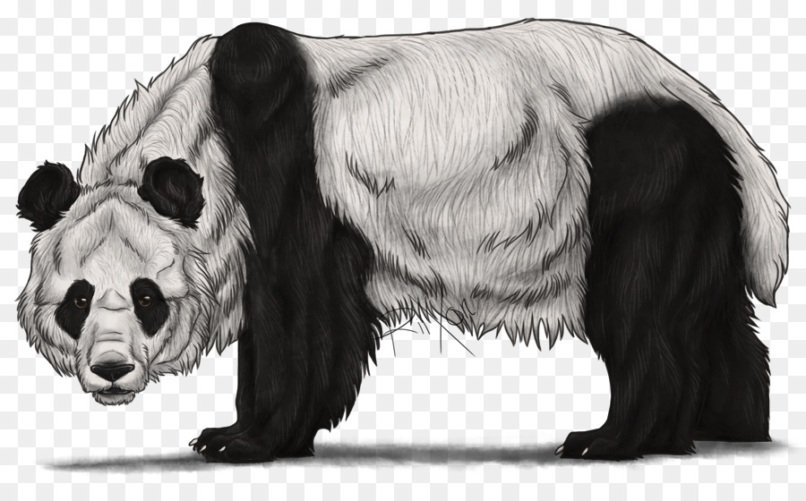 Panda，Ours PNG