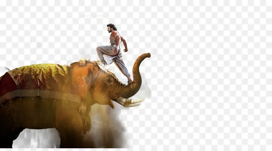 Homme Sur éléphant，Aventure PNG