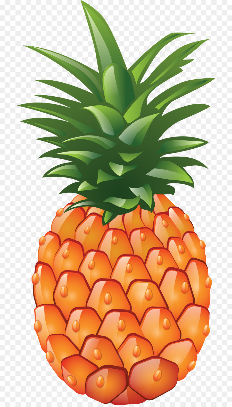 Ananas，Tropical PNG