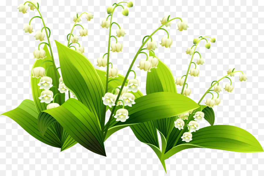 Muguet，Fleur PNG