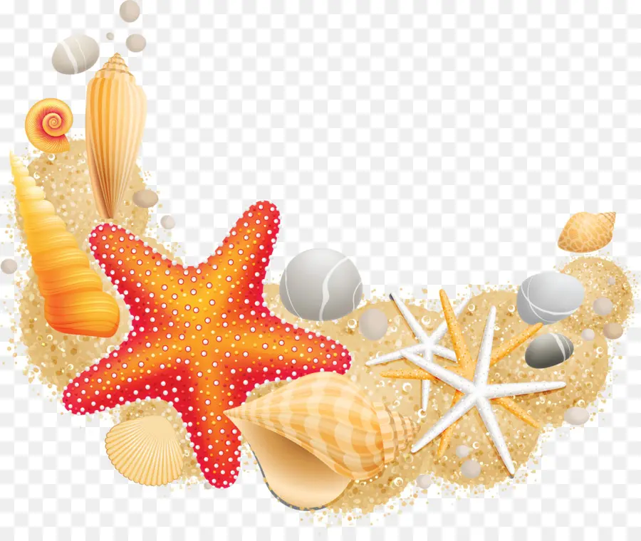 Coquillages Et étoiles De Mer，Sable PNG