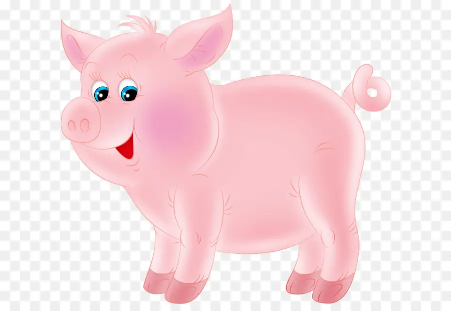 Cochon，L élevage Porcin PNG