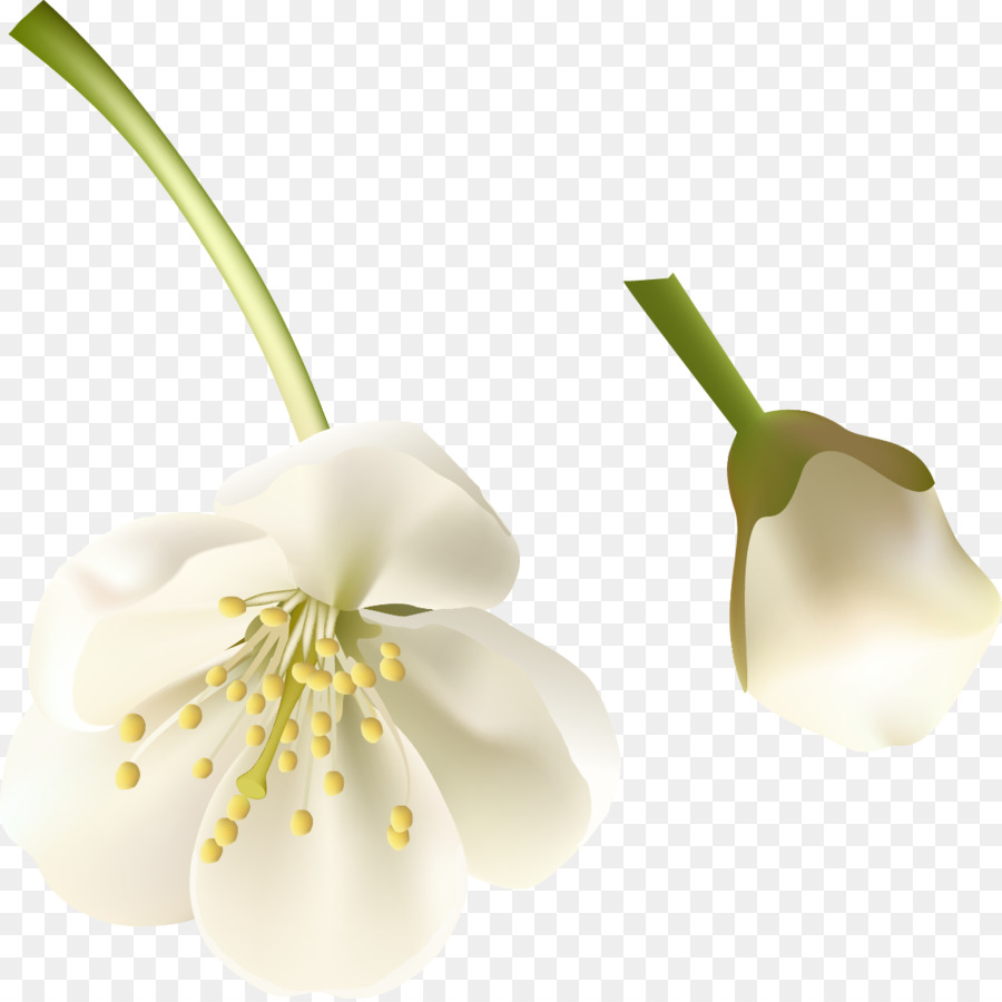 Fleur，Couper Les Fleurs PNG