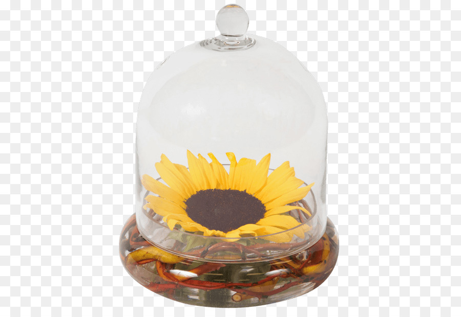 Fleur，Commune De Tournesol PNG