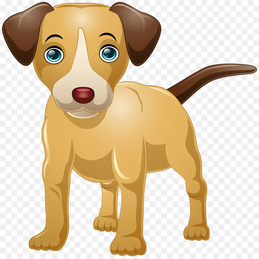 Chien，Chiot PNG