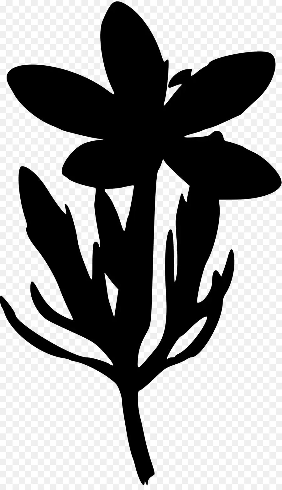 Fleur Silhouette，Usine PNG