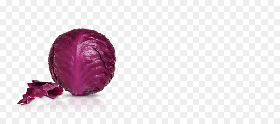 Violet，Magenta PNG