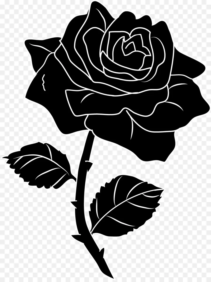 Rose，Noir Rose PNG