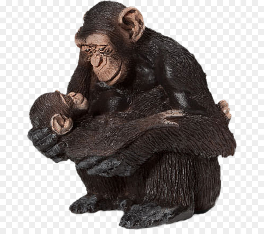 Chimpanzé，Schleich PNG