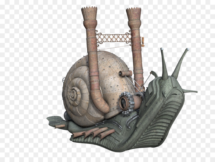 Escargot，Coquille De Gastéropodes PNG