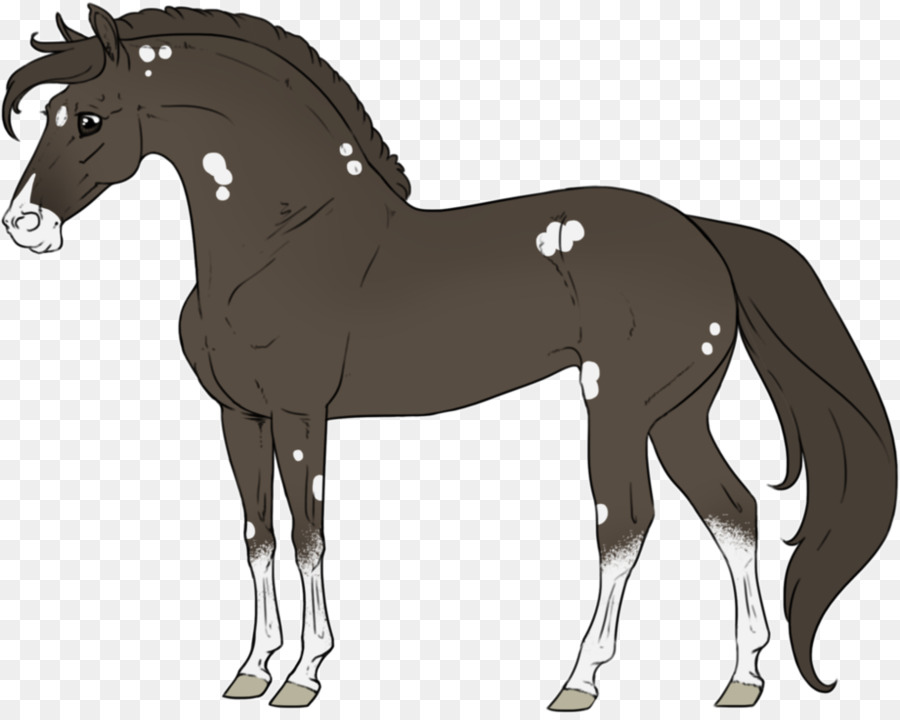 Cheval，équidé PNG