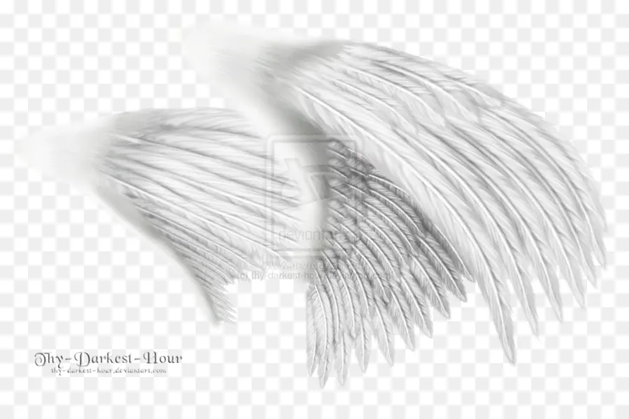 Ailes D'ange Blanches，Ange PNG