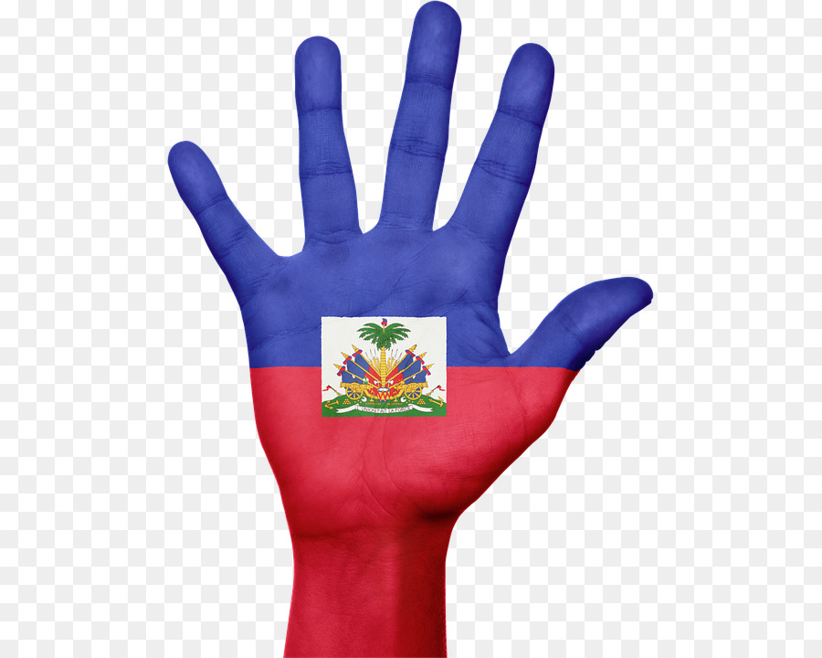 Drapeau De Haïti，Tremblement De Terre De 2010 En Haïti PNG