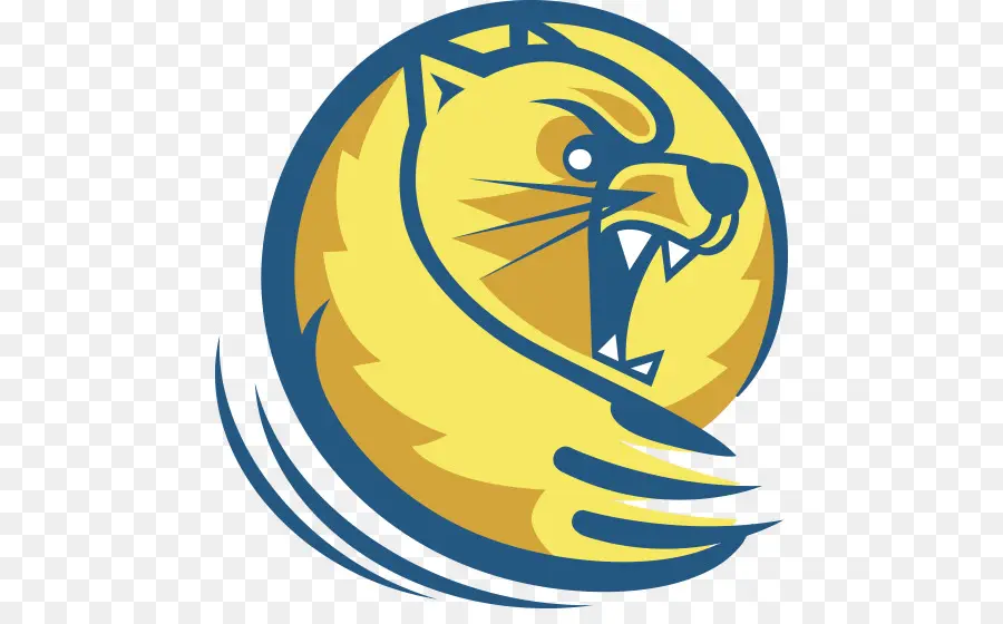 L Atterrisseur De L Université，Lander Bearcats Basketball PNG