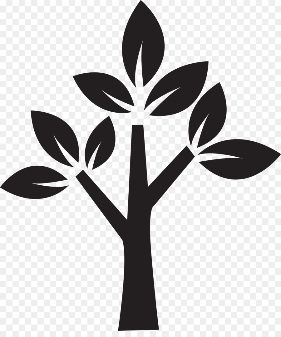 Arbre Noir，Feuilles PNG