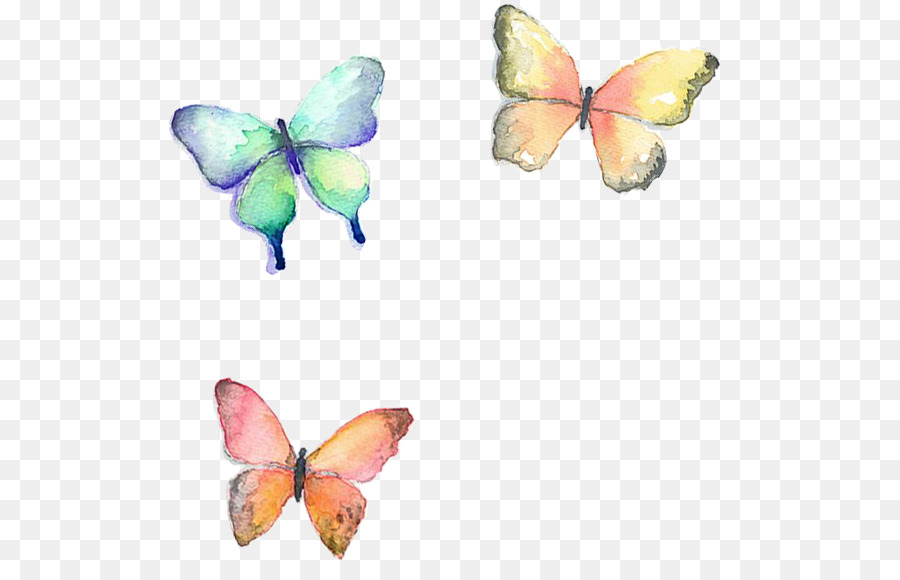 Papillons Colorés，Ailes PNG