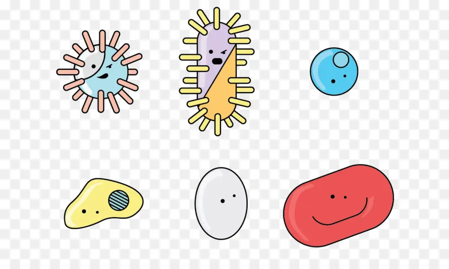 Bactéries，Flagelle PNG