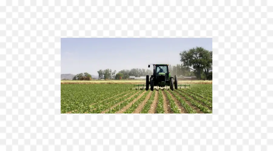 Tracteur，Agriculture PNG