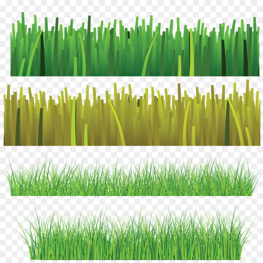 Herbe，Pelouse PNG