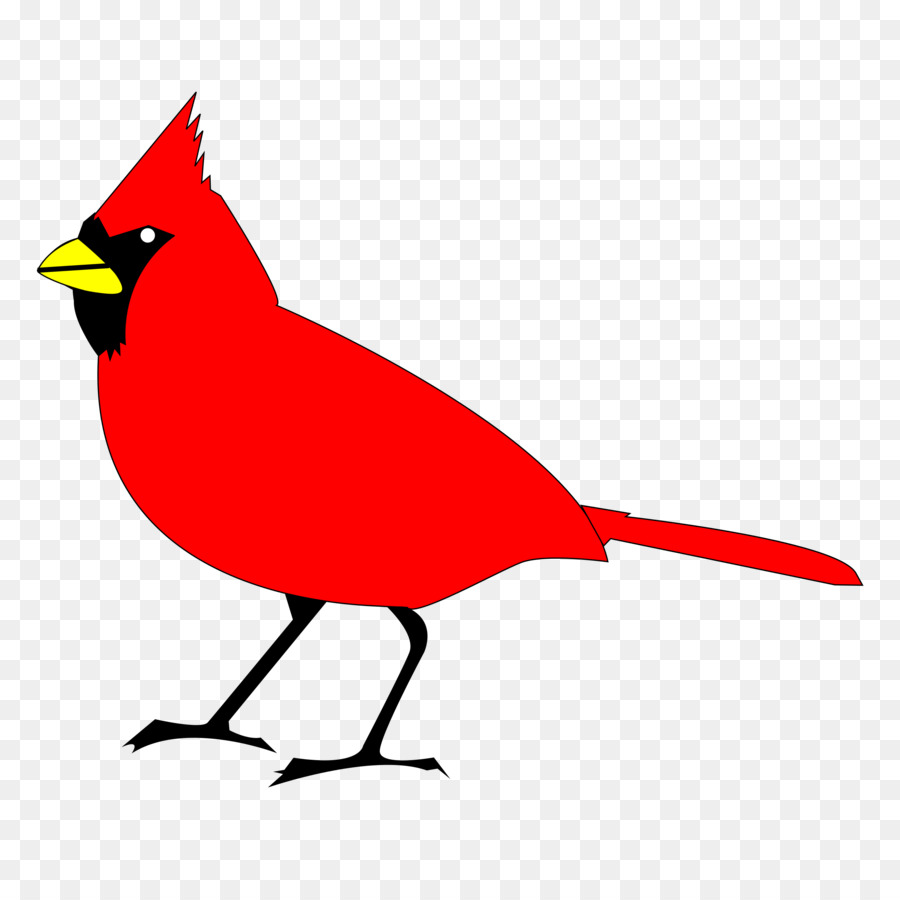 Oiseau Rouge，Oiseau PNG