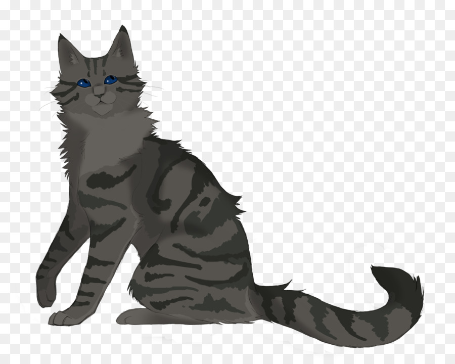 Chat Orange，Animal De Compagnie PNG