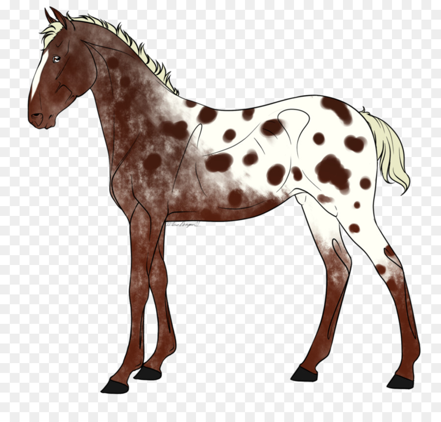 Cheval，équidé PNG