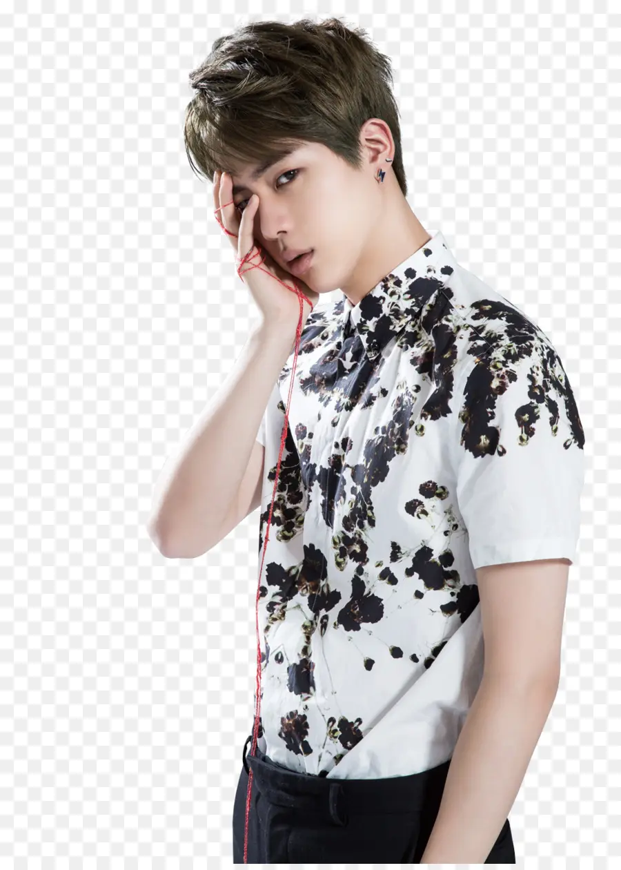 Jin，Bts PNG