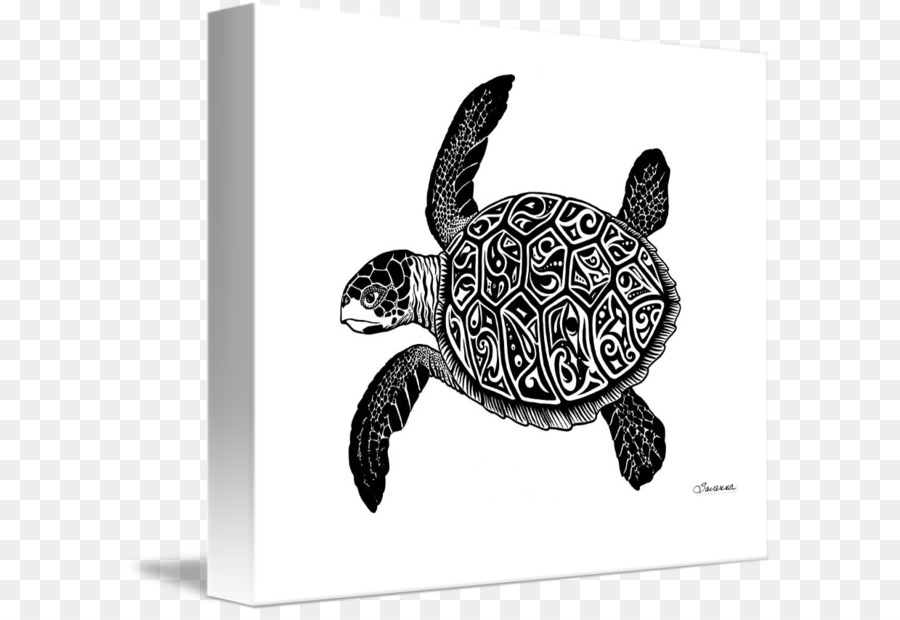 Tortue，Écraser PNG