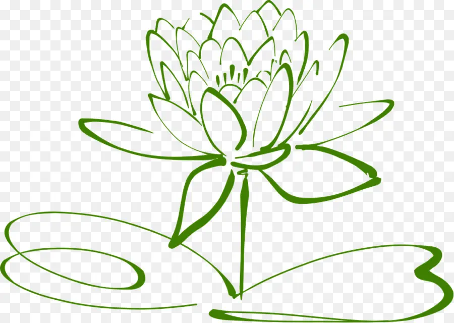 Fleur，Lotus PNG