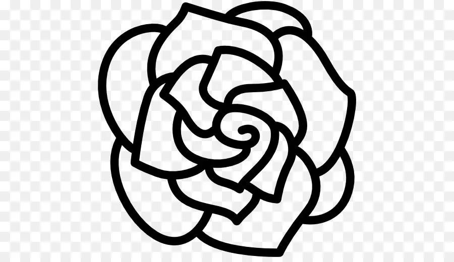 Contour Des Roses，Fleur PNG