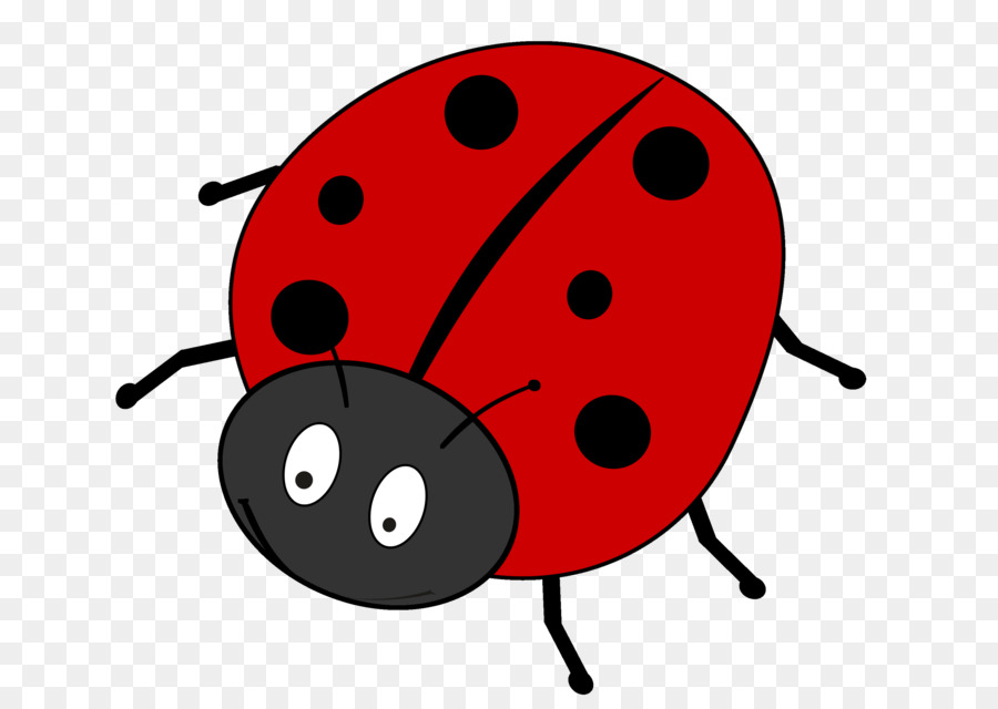 Coccinelle，Bogue PNG