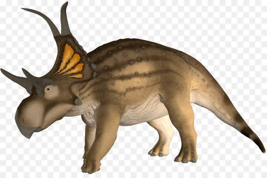 Tricératops，Préhistorique PNG