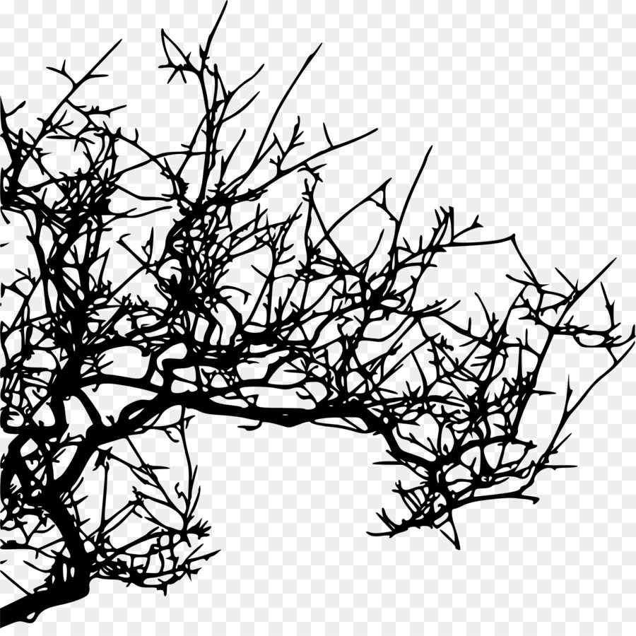 Branche Noire，Arbre PNG