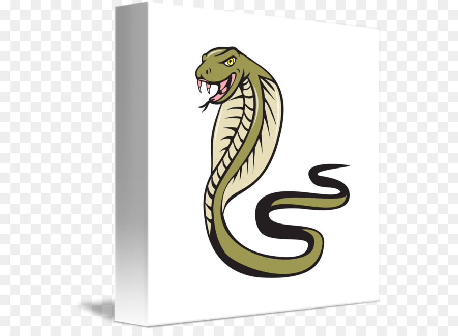 Cobra，Serpent PNG