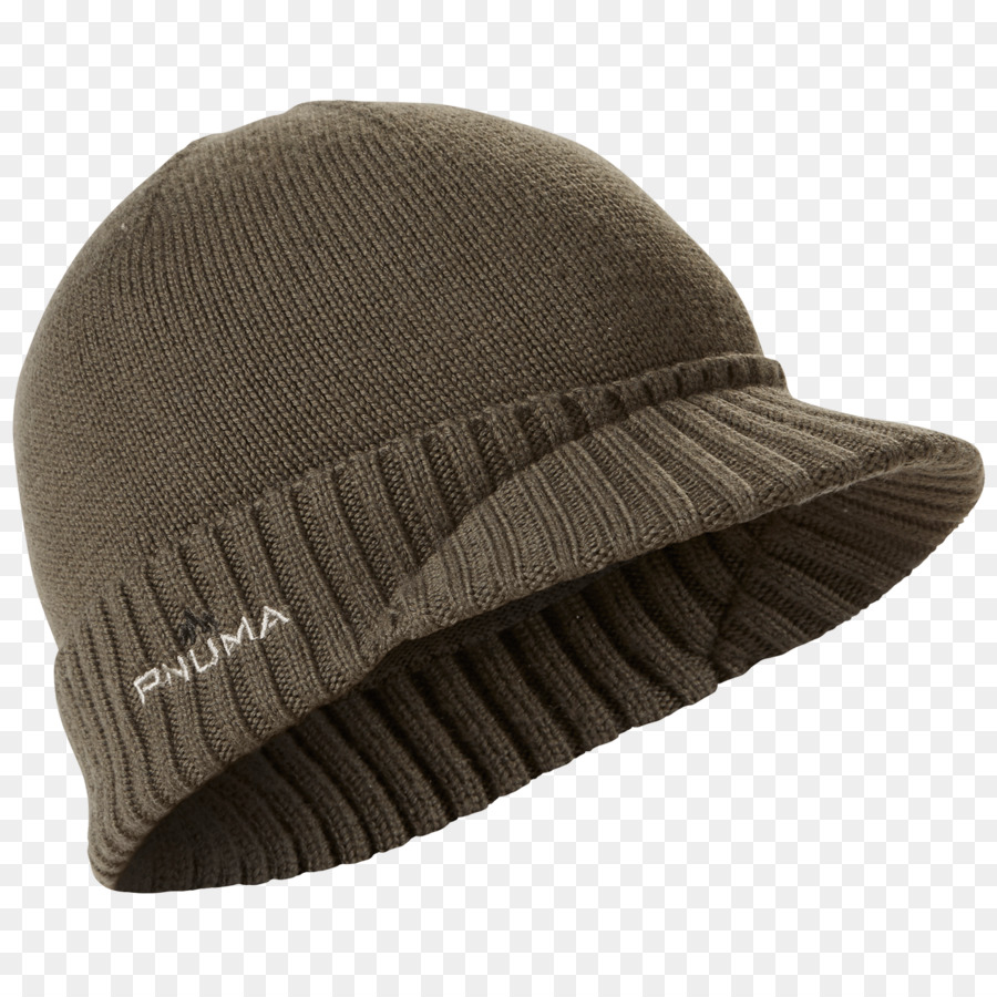 Bonnet Bonnet，Hiver PNG