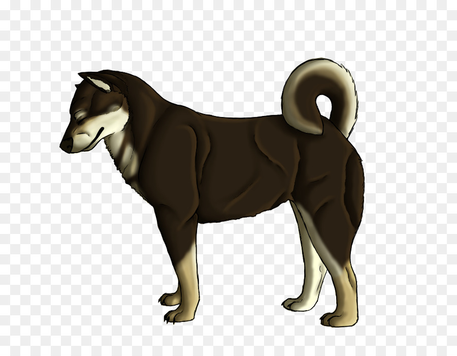 Chien，Shiba Inu PNG