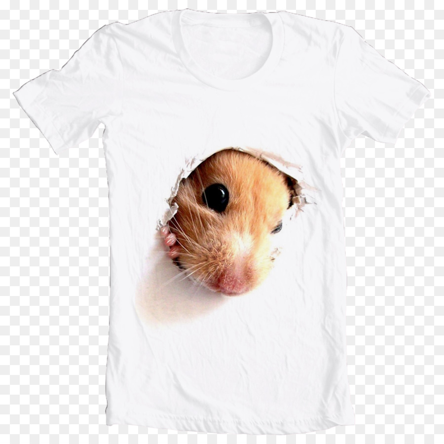 T Shirt Souris，Vêtements PNG