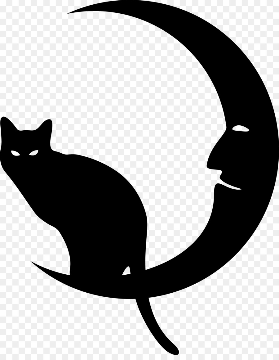 Chat Et Lune，Nuit PNG