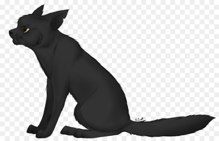 Chat Noir，Animal PNG