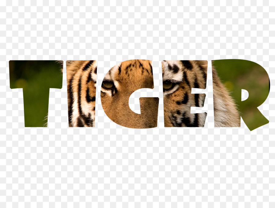 Texte Du Tigre，Animal PNG