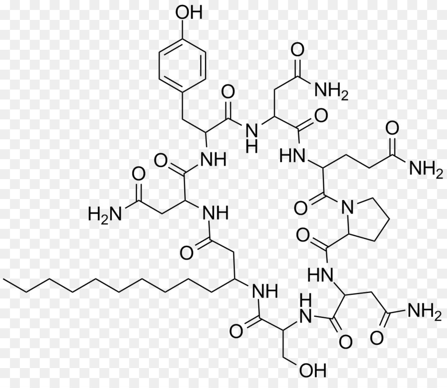 Bacitracine，Polymyxine B PNG