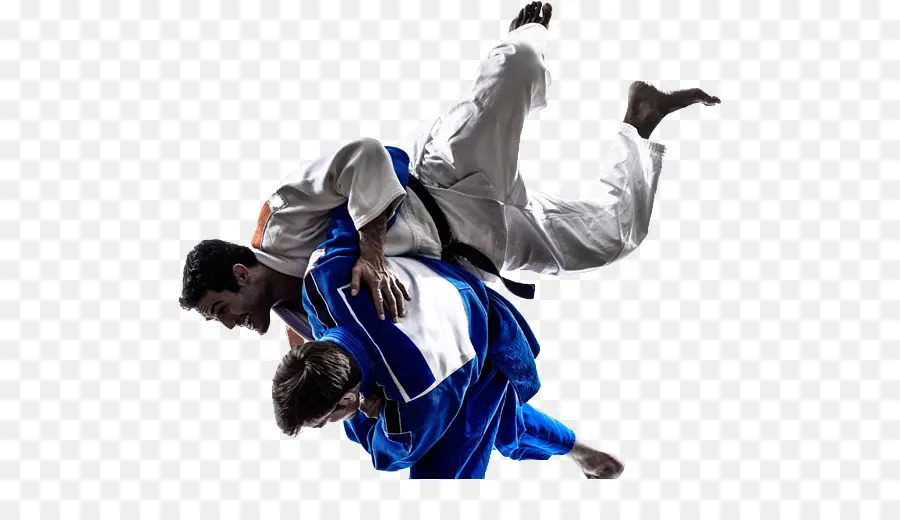 Judo，Arts Martiaux PNG