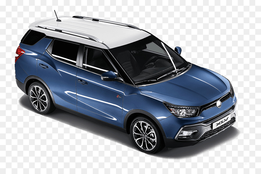 Moteur Ssangyong，Ssangyong PNG