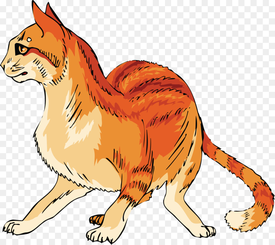 Chat，Animal De Compagnie PNG