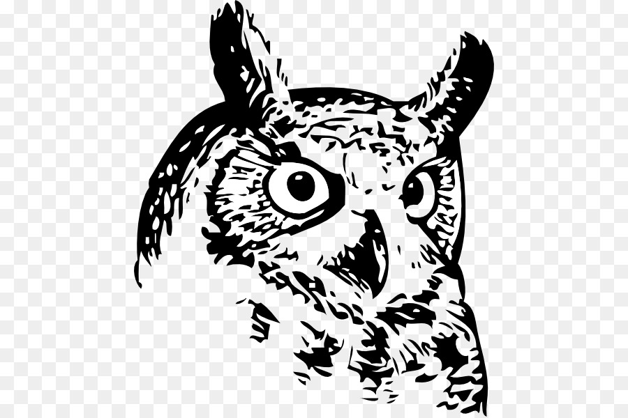 Hibou，Noir Et Blanc PNG