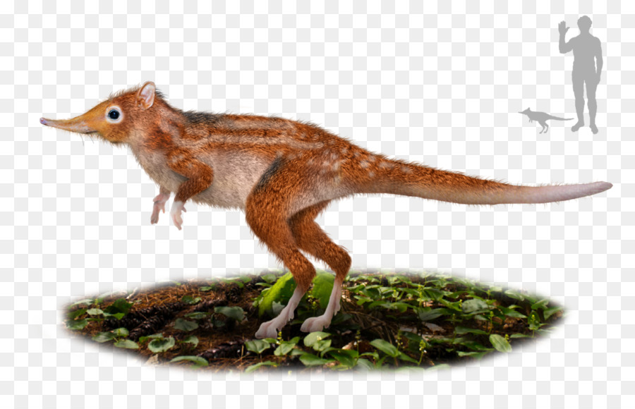 Petit Dinosaure，Préhistorique PNG