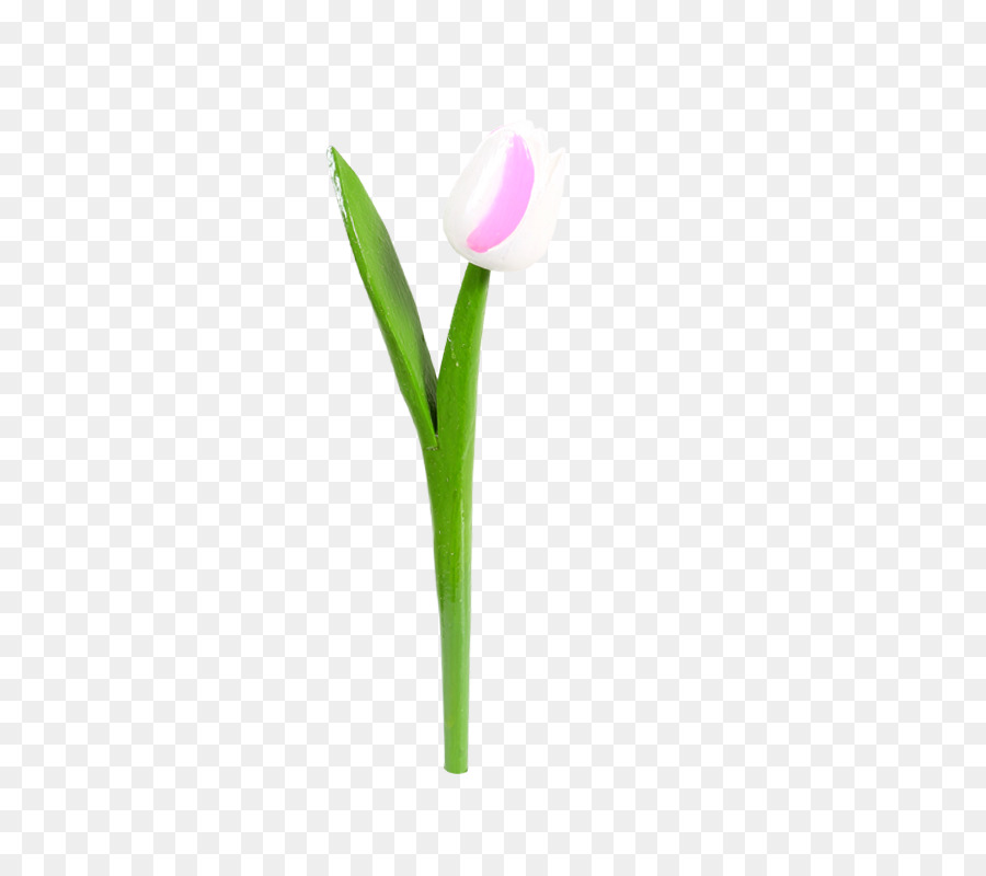 Fleur，La Floraison De La Plante PNG