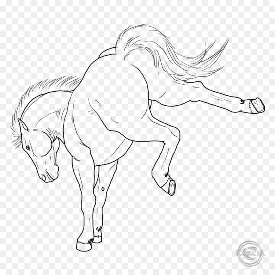 Cheval Qui Donne Un Coup De Pied，Esquisser PNG